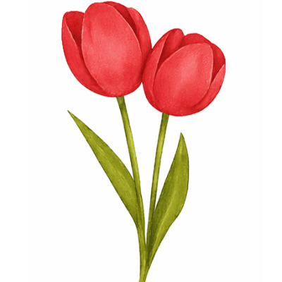 Craftway Floral & Gifts portfolio 2