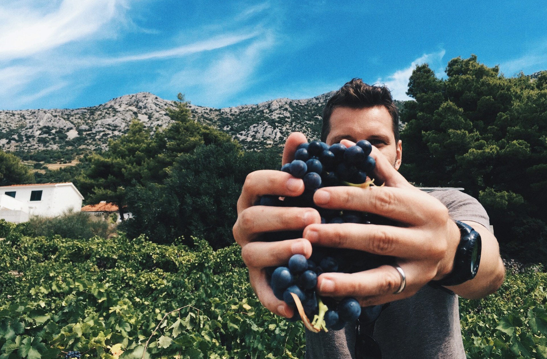 The Adriatic Pantry