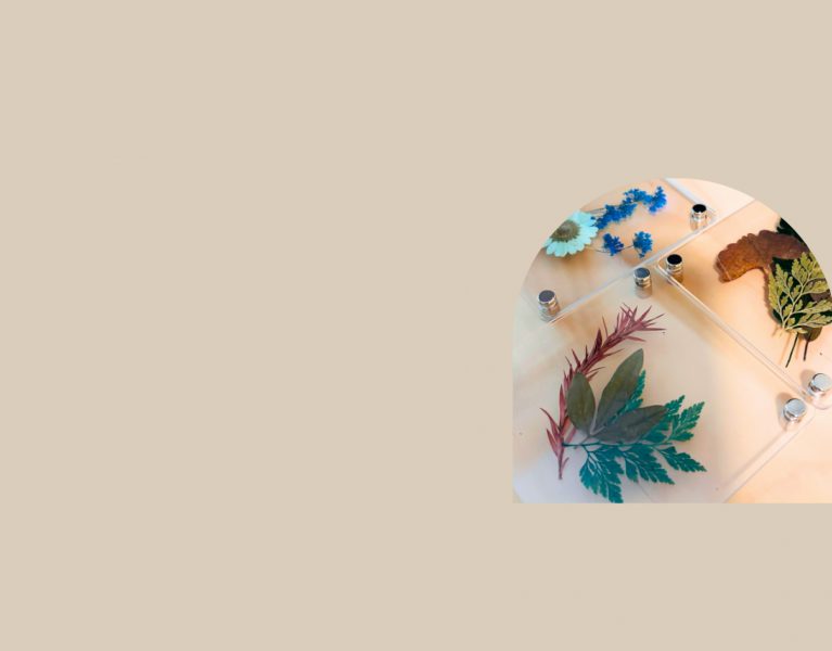 Floradise Studio portfolio 2