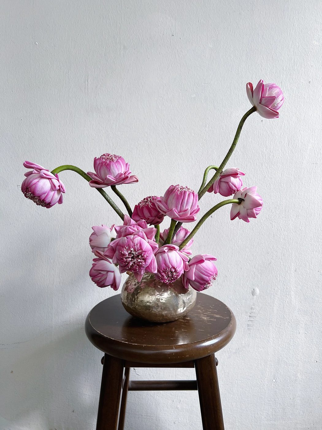 The Flower Library portfolio 3
