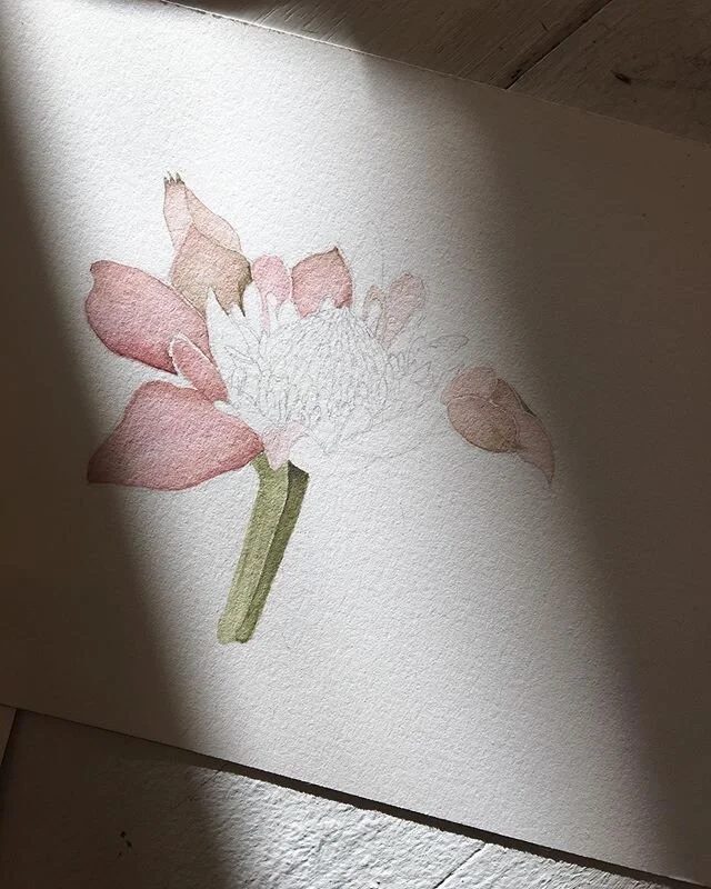 Poptsie Paper Co. portfolio 4