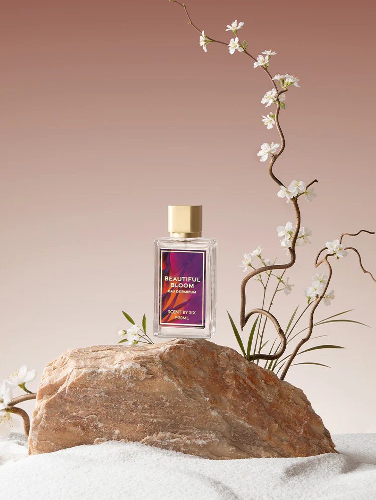 Scent by SIX portfolio 2