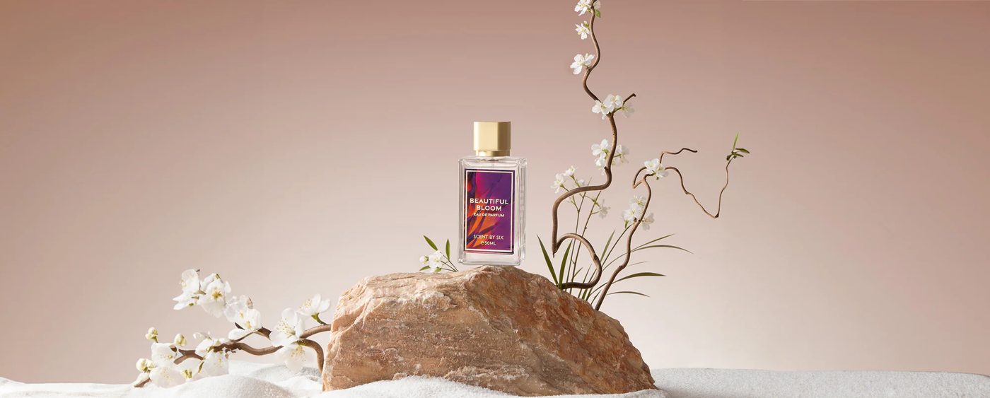 Scent by SIX portfolio 3