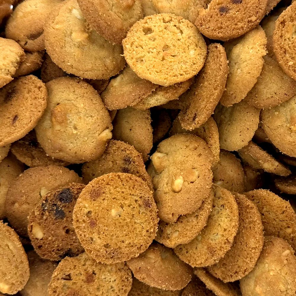 Nasty Cookie portfolio 5