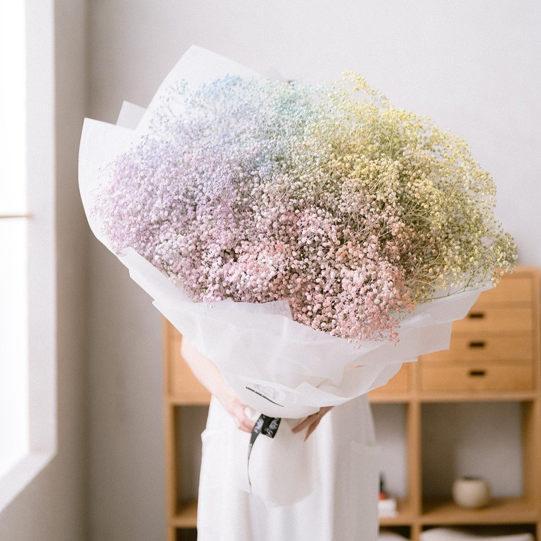 Petite Fleur portfolio 6
