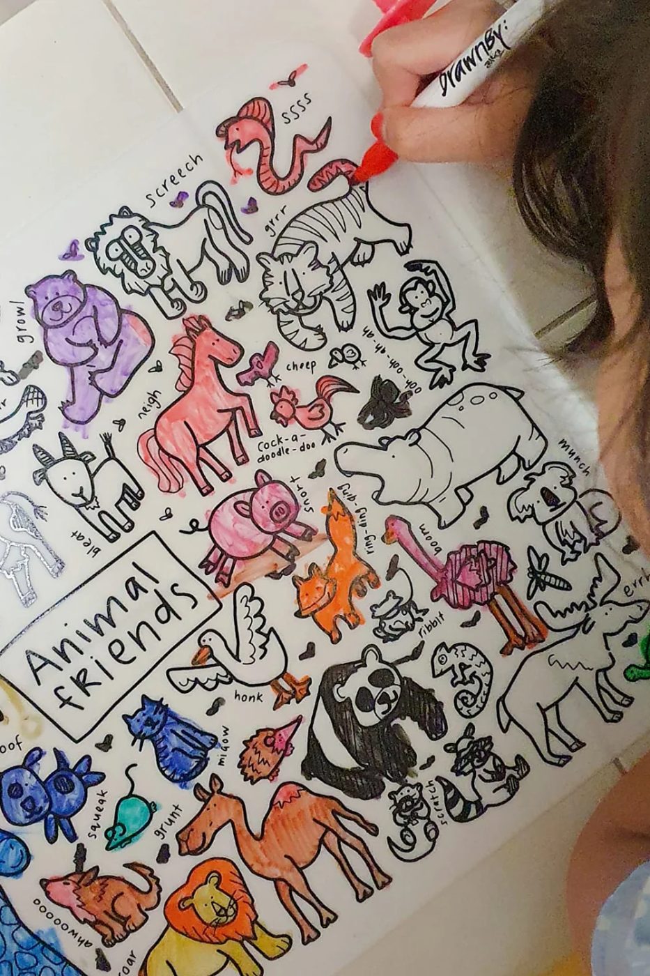 DrawnBy: portfolio 4