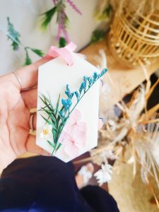 soaprise portfolio 2