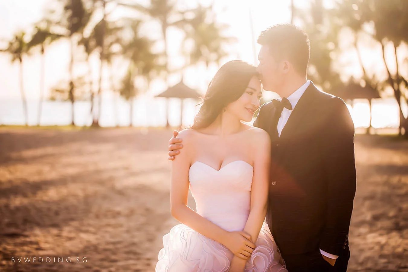 BV Wedding Photography portfolio 3