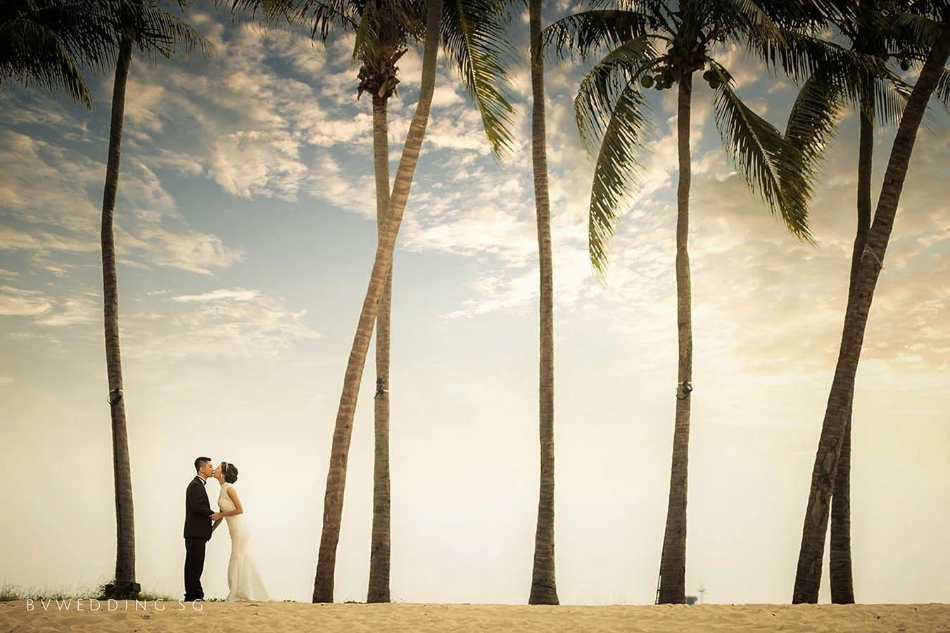 BV Wedding Photography portfolio 6