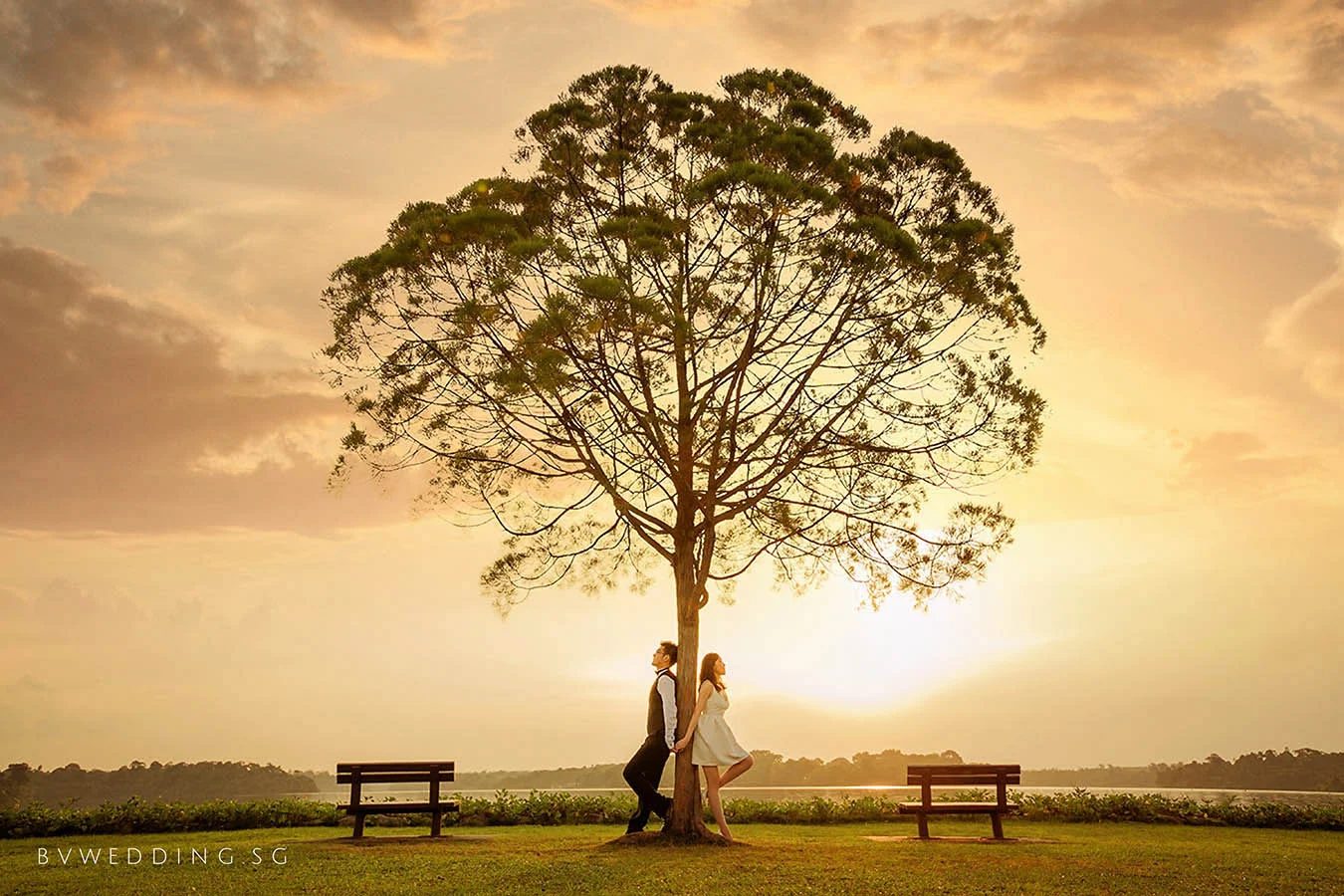 BV Wedding Photography portfolio 7