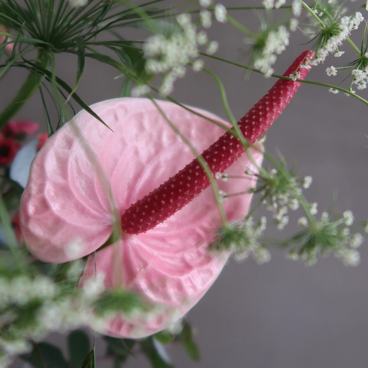 Skinny Blooms portfolio 7