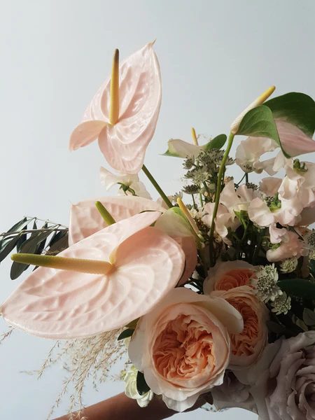 Bloomen portfolio 5