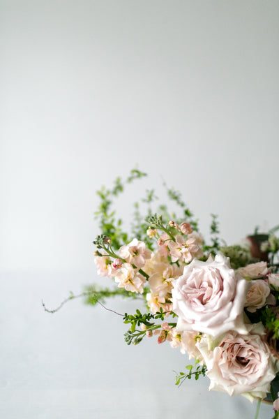 Bloomen portfolio 6