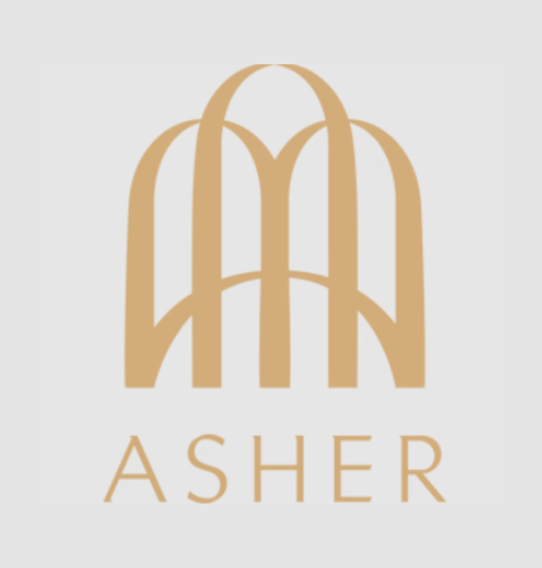 Asher BWS portfolio 1