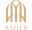Asher BWS portfolio 2