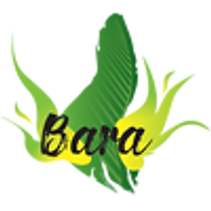 Bara  Food portfolio 2