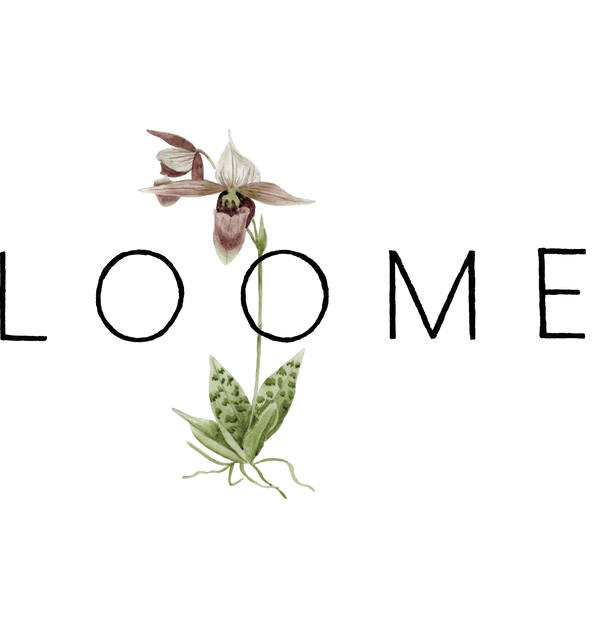 Bloomen portfolio 1