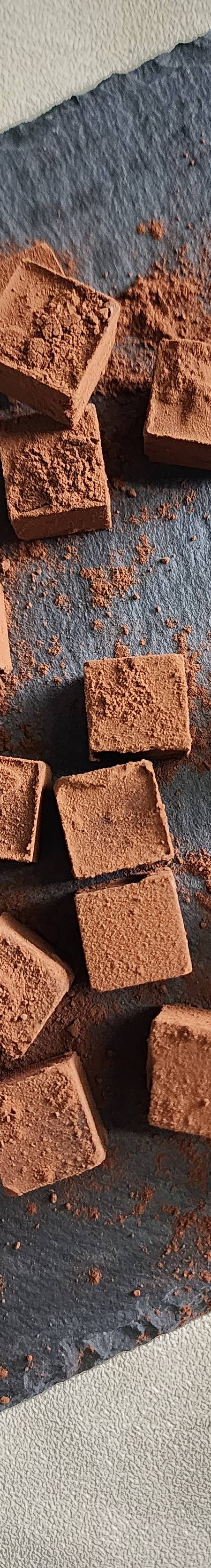 Chocolate Anatomy