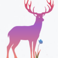Deer Petals portfolio 2