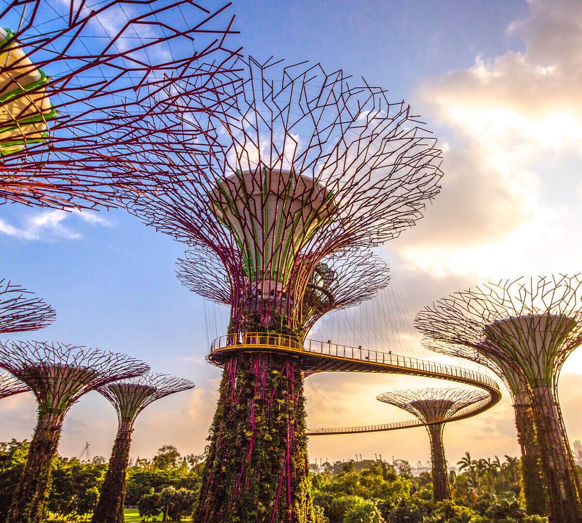 Floral Fantasy & SG50 Lattice