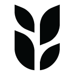 Grain Catering portfolio 2