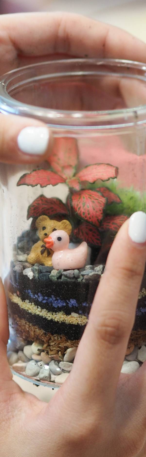 J2 Terrarium portfolio 1