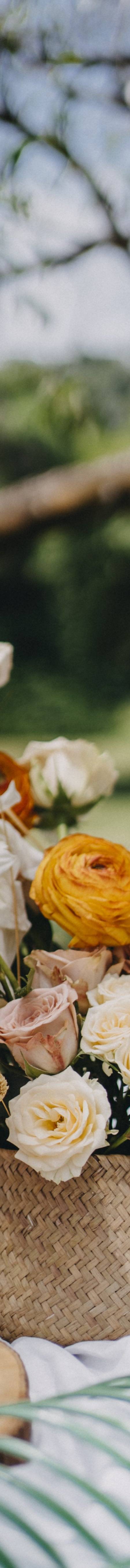 LilasBlooms