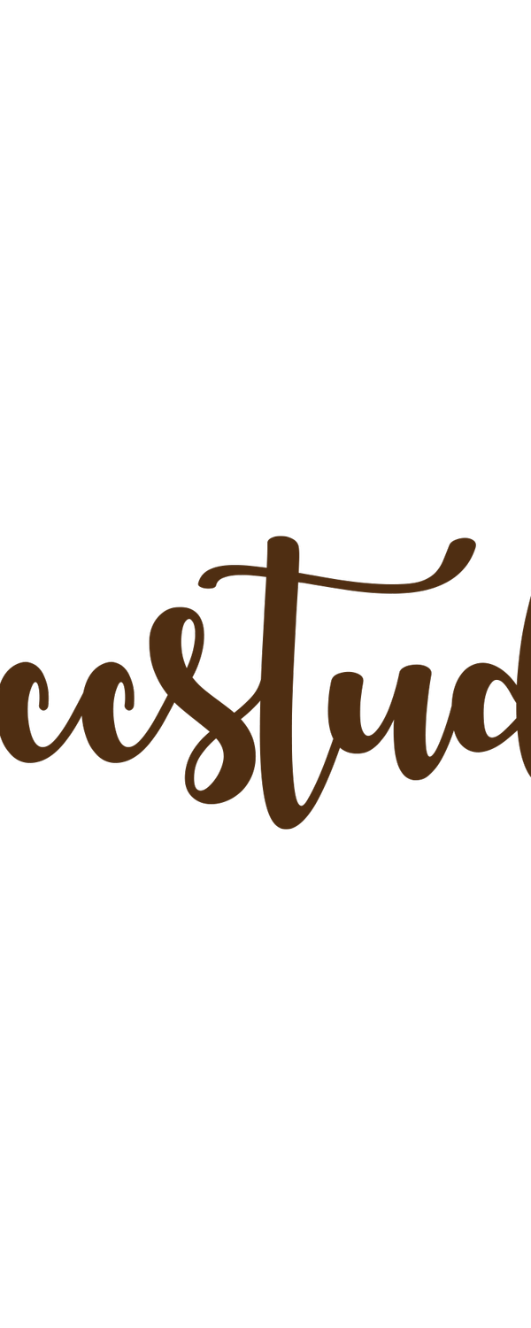 LUCC STUDIO portfolio 1