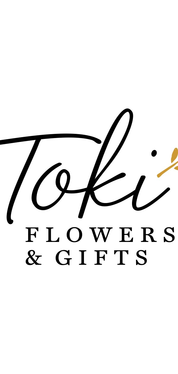 Toki portfolio 1