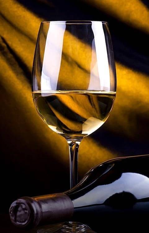 Underground Wines portfolio 5