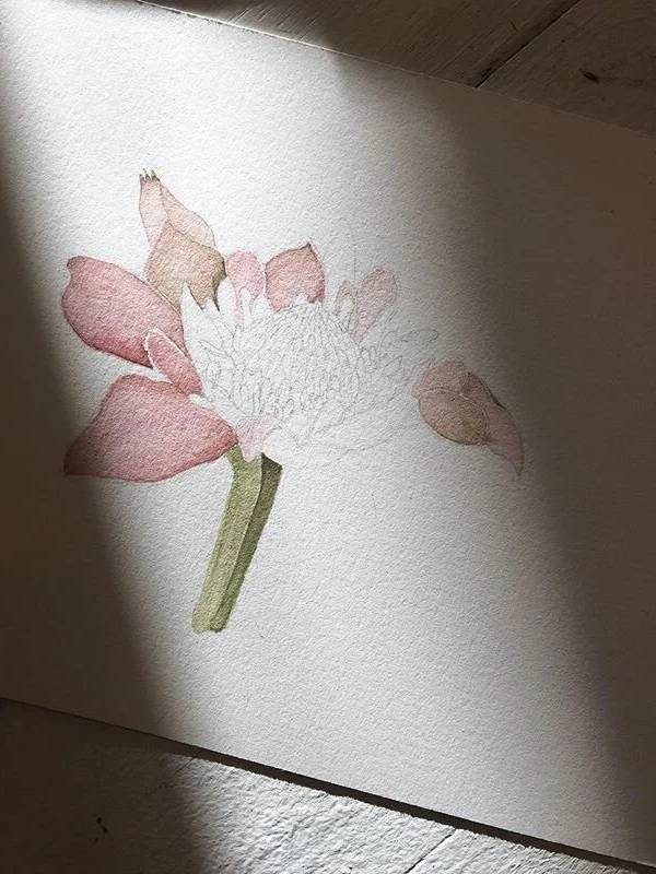 Poptsie Paper Co. portfolio 5
