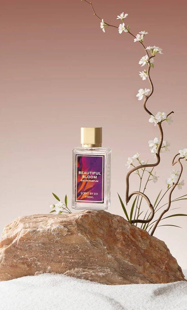 Scent by SIX portfolio 2