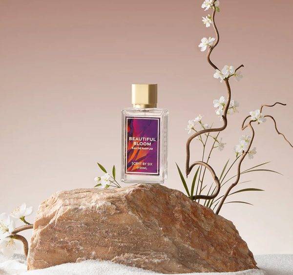 Scent by SIX portfolio 3