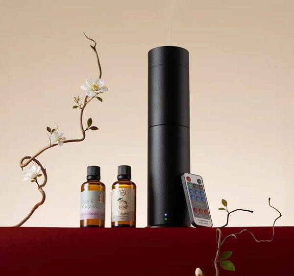 Scent by SIX portfolio 7