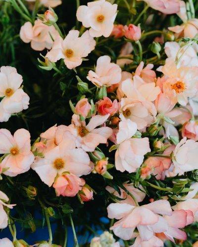 Liz Florals portfolio 5