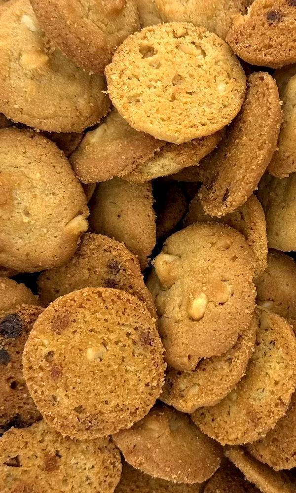 Nasty Cookie portfolio 5