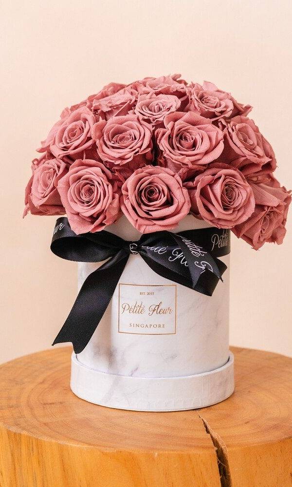 Petite Fleur portfolio 5