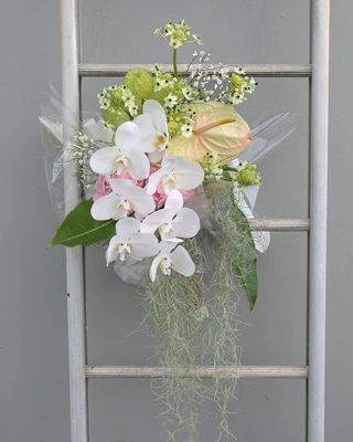 The Flowering Year portfolio 6