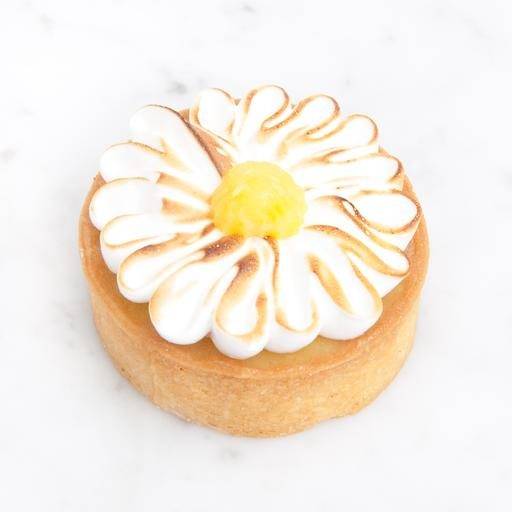 Tart Blanc portfolio 4
