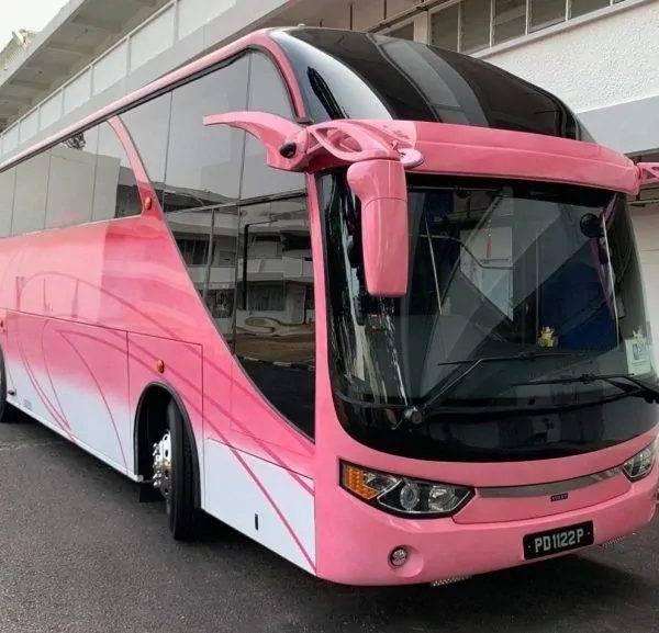 Chan Bus portfolio 2