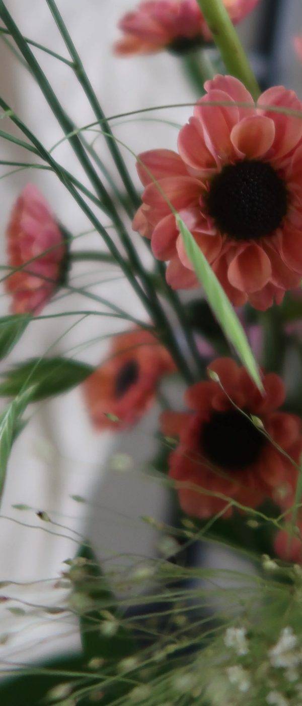 Skinny Blooms portfolio 5