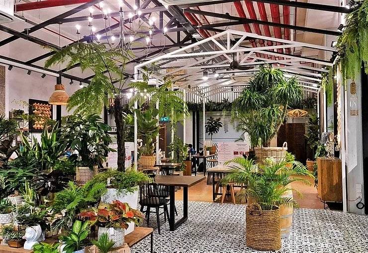 Knots Cafe and Living