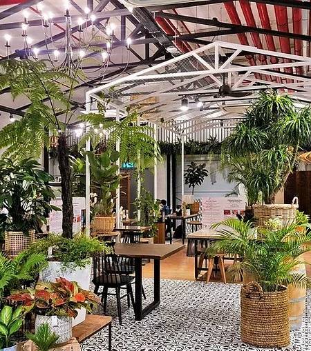 Knots Cafe and Living
