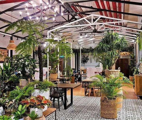 Knots Cafe and Living portfolio 1