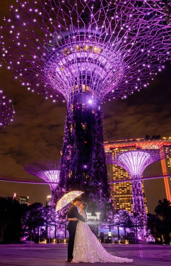 Shane Chua portfolio 7