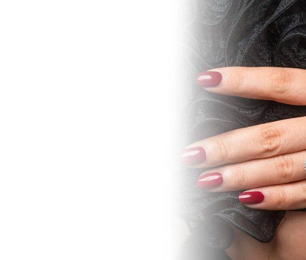 L'Excellence Diamond portfolio 4