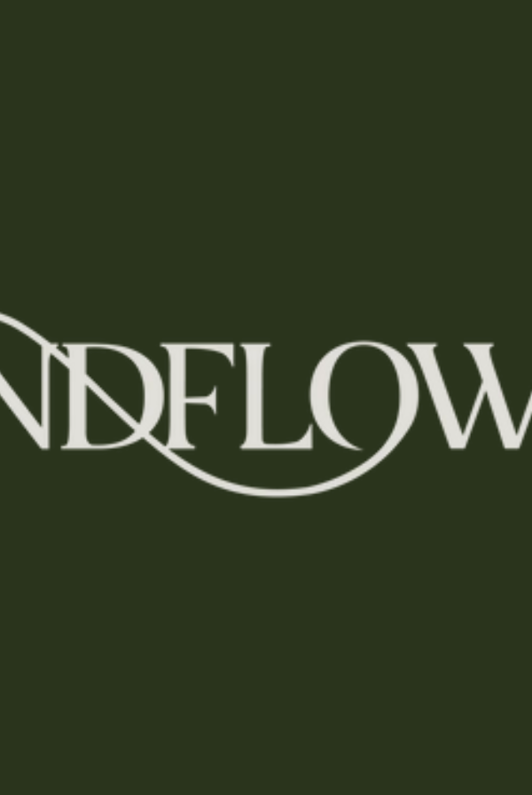 Windflower Florist portfolio 1